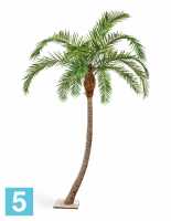 Пальма искусственная TREEZ Collection Финиковая Гигантская изогнутая 360h в #REGION_NAME_DECLINE_PP#