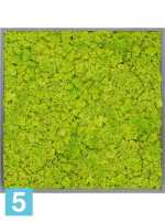 Картина из искусственного мха атласный блеск 100% олений мох (весенний зеленый) серый фон l-100 w-100 h-6 см в Москве