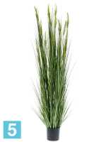 Трава с колосками зелёная высокая искусственная w-30 h-185 d-18 см в #REGION_NAME_DECLINE_PP#