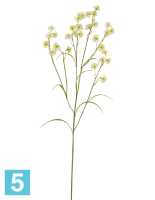 Искусственный цветок для декора Астранция Вайлд бело-зелено-лимонная TREEZ Collection в #REGION_NAME_DECLINE_PP#