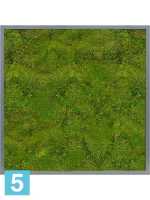 Картина из искусственного мха satin gloss 100% плоский мох серый фон l-80 w-80 h-6 см в #REGION_NAME_DECLINE_PP#