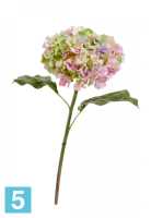 Искусственный цветок для декора Гортензия Holland dry розово-сиреневый со светло-зеленым TREEZ Collection в #REGION_NAME_DECLINE_PP#