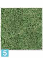 Картина из искусственного мха алюминий 100% олений мох (мох зеленый) l-100 w-100 h-6 см в #REGION_NAME_DECLINE_PP#