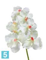 Искусственный цветок для декора Орхидея Ванда белая с роз. сердцевинкой TREEZ Collection в #REGION_NAME_DECLINE_PP#