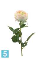 Искусственный цветок для декора Роза Шанталь 10dx70h кремово-розовая в #REGION_NAME_DECLINE_PP#