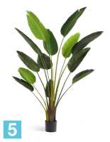 Искусственный цветок в горшке Стрелиция Style зеленая 180h TREEZ Collection в #REGION_NAME_DECLINE_PP#