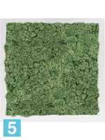 Картина из искусственного мха сатин блеск 100% олений мох (мох зеленый) l-40 w-40 h-6 см в #REGION_NAME_DECLINE_PP#