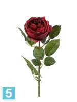 Искусственный цветок для декора Роза Шанталь 10dx70h бордовая в #REGION_NAME_DECLINE_PP#