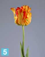 Искусственный цветок для декора Тюльпан Попугай желто-оранж TREEZ Collection в #REGION_NAME_DECLINE_PP#