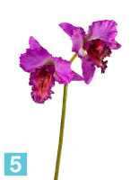 Искусственный цветок для декора Орхидея Каттлея крупная темно-сирен 42 см 2 цв TREEZ Collection в #REGION_NAME_DECLINE_PP#