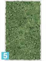 Картина из искусственного мха алюминий 100% олений мох (мох зеленый) l-100 w-60 h-6 см в #REGION_NAME_DECLINE_PP#