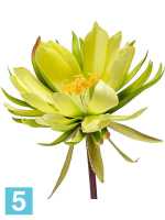 Цветок кактуса жёлто-зелёный искусственный w-16 h-79 см в #REGION_NAME_DECLINE_PP#