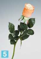 Искусственный цветок для декора роза Sensitive Botanic "Джессика" 5d*72h оранжевая