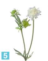 Искусственный цветок для декора Скабиоза белая 68 см 1цв 2бут TREEZ Collection в #REGION_NAME_DECLINE_PP#