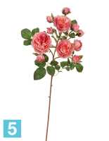 Искусственный цветок для декора Роза Дэвид Остин ветка Спрей пастельно-розово-малиновая TREEZ Collection в #REGION_NAME_DECLINE_PP#