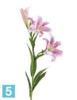 Искусственный цветок для декора Лилия Донателло ветвь нежно-розовая с белым TREEZ Collection в #REGION_NAME_DECLINE_PP#