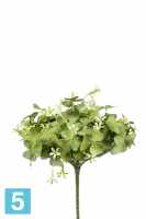 Оксалис (Кислица) искусственный куст 22dx24h бело-зеленый в #REGION_NAME_DECLINE_PP#