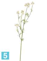 Искусственный цветок для декора Ранункулюс Полевой белый TREEZ Collection в #REGION_NAME_DECLINE_PP#