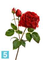 Искусственный цветок для декора Роза Дэвид Остин Роял ветвь алая TREEZ Collection в #REGION_NAME_DECLINE_PP#