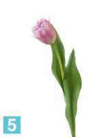 Искусственный цветок для декора Тюльпан Даймонд нежно-розовый TREEZ Collection в #REGION_NAME_DECLINE_PP#