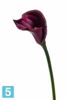 Искусственный цветок для декора Калла 65h бордо в #REGION_NAME_DECLINE_PP#