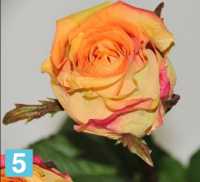 Роза искусственная, h-52 см., оранжевая в #REGION_NAME_DECLINE_PP#