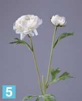 Искусственный цветок для декора ранункулюс белый TREEZ Collection в #REGION_NAME_DECLINE_PP#