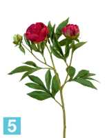Искусственный цветок для декора Пион красно-бордовый ветвь 60 см TREEZ Collection в #REGION_NAME_DECLINE_PP#