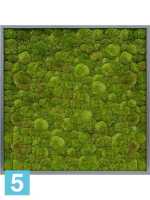 Картина из искусственного мха атласный блеск 100% шаровый мох l-100 w-100 h-6 см в #REGION_NAME_DECLINE_PP#
