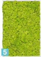 Картина из искусственного мха алюминий 100% олений мох (весенний зеленый) l-120 w-80 h-6 см в Москве