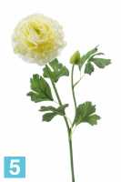 Искусственный цветок для декора Ранункулюс (Лютик) 53h кремовый в #REGION_NAME_DECLINE_PP#