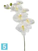 Орхидея фаленопсис ветвь белая искусственная h-80 см в #REGION_NAME_DECLINE_PP#