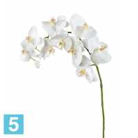 Орхидея Фаленопсис искусственная TREEZ Collection белая в #REGION_NAME_DECLINE_PP#