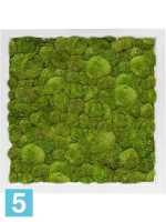 Картина из искусственного мха сатин блеск 100% шаровый мох светлый l-40 w-40 h-6 см в #REGION_NAME_DECLINE_PP#