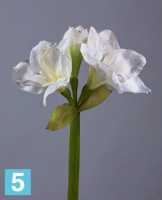 Искусственный цветок для декора Амариллис белый TREEZ Collection в #REGION_NAME_DECLINE_PP#