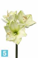 Искусственный цветок для декора Амариллис "Лиза" 18dx54h лайм (3 цветка + 1 бутон) в #REGION_NAME_DECLINE_PP#
