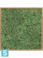 Картина из искусственного мха бамбук 100% олений мох (мох зеленый) l-80 w-80 h-6 см в #REGION_NAME_DECLINE_PP#