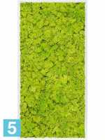 Картина из искусственного мха сатин блеск 100% олений мох (весенний зеленый) l-120 w-60 h-6 см в #REGION_NAME_DECLINE_PP#