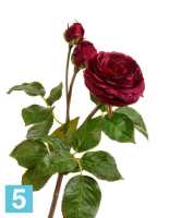 Искусственный цветок для декора Роза Дэвид Остин Мидл ветвь винная TREEZ Collection в #REGION_NAME_DECLINE_PP#