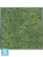 Картина из искусственного мха атласный блеск 100% олений мох (мох зеленый) l-100 w-100 h-6 см в #REGION_NAME_DECLINE_PP#