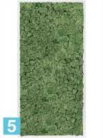 Картина из искусственного мха сатин блеск 100% олений мох (мох зеленый) l-120 w-60 h-6 см в #REGION_NAME_DECLINE_PP#