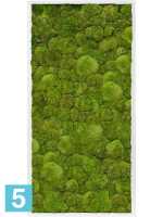 Картина из искусственного мха сатин блеск 100% шаровый мох l-120 w-60 h-6 см в #REGION_NAME_DECLINE_PP#