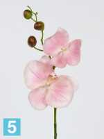 Искусственный цветок для декора Орхидея Фаленопсис Sensitive Botanic розовая (2 цветка + 3 бутона) в #REGION_NAME_DECLINE_PP#