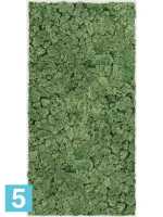 Картина из искусственного мха stiel l матовая 100% олений мох (мох зеленый) l-100 w-50 h-6 см в #REGION_NAME_DECLINE_PP#