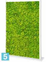 Перегородка из искусственного мха двусторонняя белая 100% олений мох (весенне-зеленый) l-120 w-30 h-160 см в #REGION_NAME_DECLINE_PP#