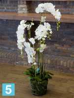 Орхидея фаленопсис белая с землёй и мхом искусственная h-145 см в Москве