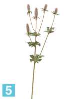 Искусственный цветок для декора Эрингиум Элегант светло-сиренево-зеленый TREEZ Collection в Москве