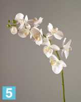 Искусственный цветок для декора Орхидея Фаленопсис Мидл белая TREEZ Collection в #REGION_NAME_DECLINE_PP#