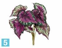 Искусственный цветок для декора Бегония крупнолистная зелено-бордовая TREEZ Collection в #REGION_NAME_DECLINE_PP#