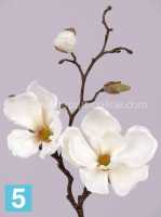 Искусственный цветок для декора Магнолия ветка 48h кремовая (2 цветка) в #REGION_NAME_DECLINE_PP#